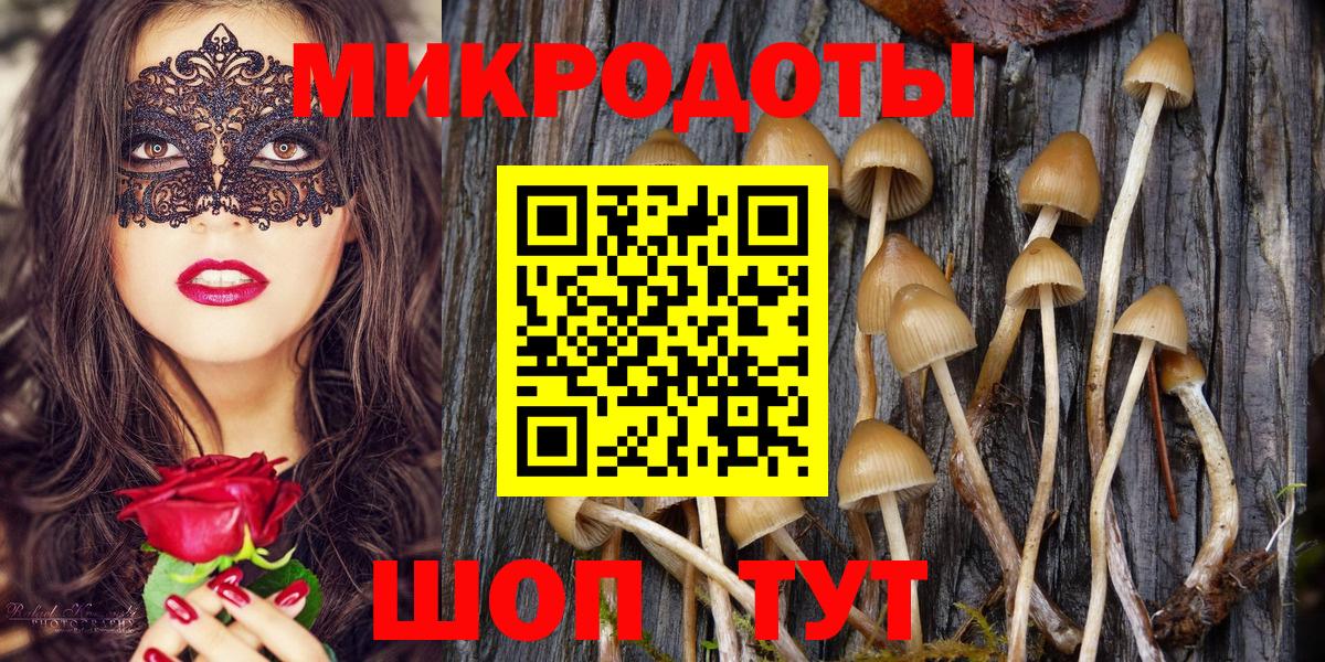 Галлюциногенные грибы Cubensis  Псилоцибиновые грибы Psilocybine cubensis  Темрюк  Вход с VPN 