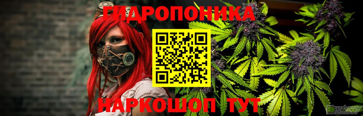 Темрюк  Бошки марихуана гибрид  Бошки Шишки конопля  Вход с VPN  Каннабис ГИДРОПОН  Марихуана семена 